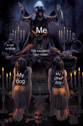 Me а Tre mace My dog dog