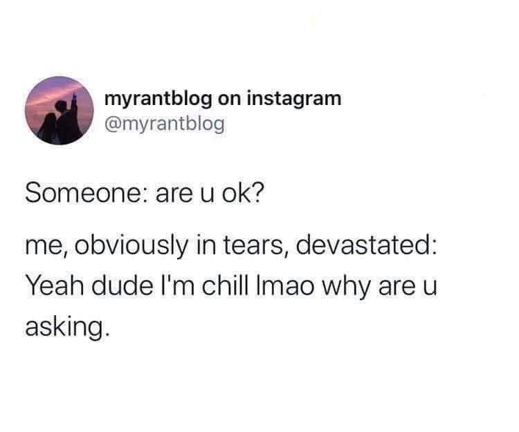 myrantblog instagram @myrantblog a Someone: are и me, obviously in tears, devastated: Yeah dude chill lmao why are asking.