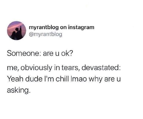 myrantblog instagram @myrantblog a Someone: are и me, obviously in tears, devastated: Yeah dude chill lmao why are asking.