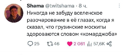 Shama @twitshama 8 Никогда не забуду вселенское разочарование в её глазах, когда я сказал, что грузинские москиты здороваются словом «комарджоба» 1146 57,6К