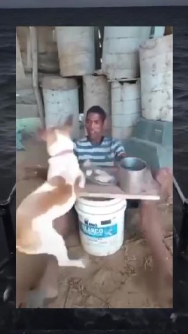 мем