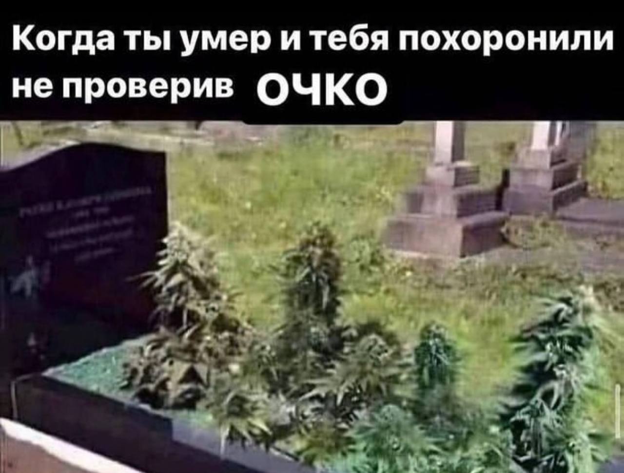 Когда ты умер и тебя похоронили не проверив ОЧКО