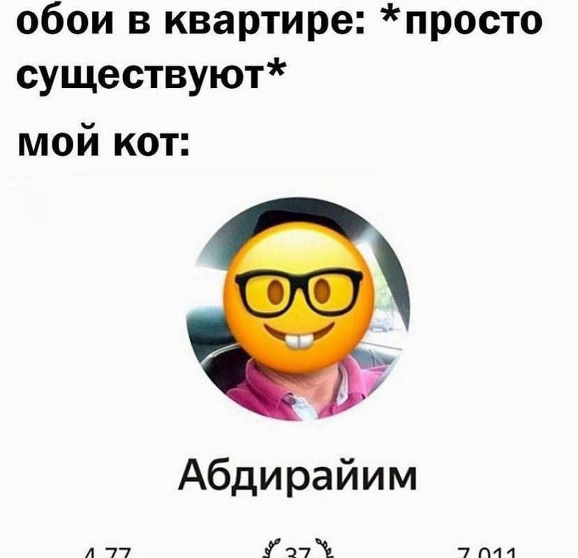обои в квартире: *просто существуют* мой кот: Абдирайим У,