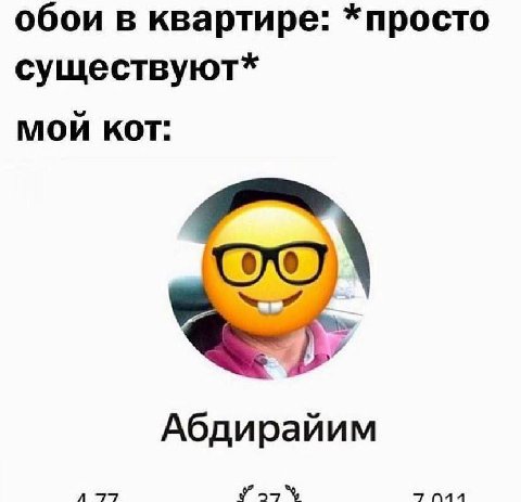 обои в квартире: *просто существуют* мой кот: Абдирайим У,
