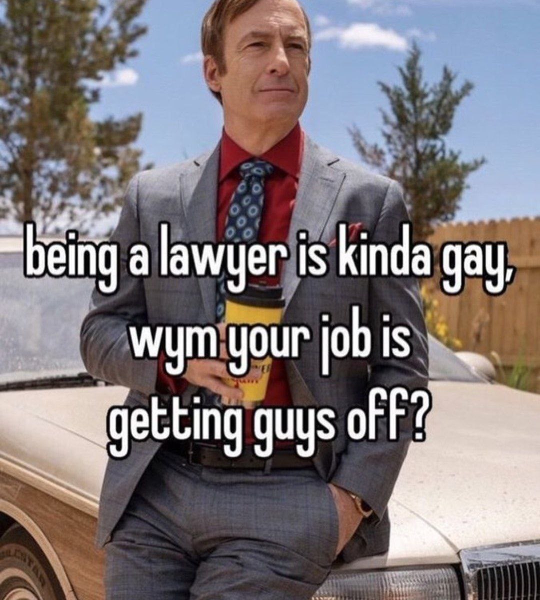 =being а lawyer is kinda gay, wym your jab is getting guys of