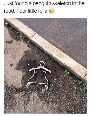 und a skeleton in road. Poor |i the Poor little fella 7 у я 4 4} к 443 wie ME: a 5 Я a 2 3 a 2