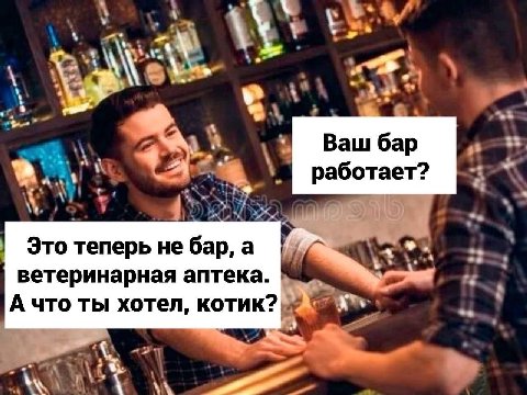 Ваш бар работает? Это теперь не бар, а ветеринарная аптека. А что ты хотел, котик?