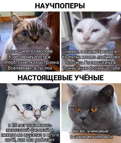 НАУЧПОПЕРЫ «7, Я севодня посмотрев посмотрев все 6 чесов научпопа и теперб знаю, как устроена блогер; аГовнюшкина и Вселемная, а ты лох точно знаю больмше тебя НАСТОЯЩЕВЫЕ УЧЕНЫЕ зонимаюсь вой екой и 