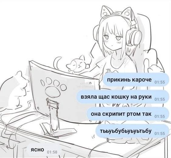 4) 2% прикинь кароче взяла щас кошку на руки 727 она скрипит ртом так тььуьбубьуьуьтьбу ясно