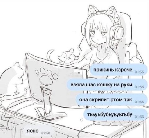 4) 2% прикинь кароче взяла щас кошку на руки 727 она скрипит ртом так тььуьбубьуьуьтьбу ясно