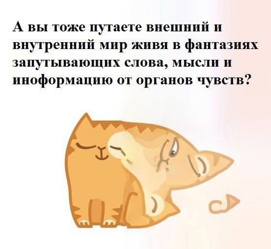 А вы тоже путаете внешний и внутренний мир живя в фантазиях запутывающих слова, мысли и иноформацию от органов чувств?
