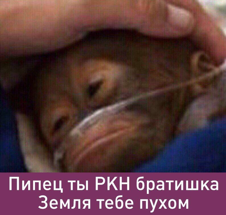 Пипец ты РКН братишка Земля тебе пухом