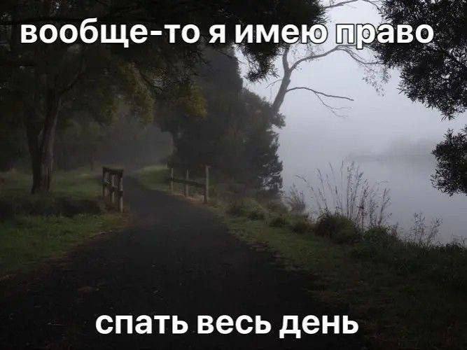 вообще-то я имею спать весь день
