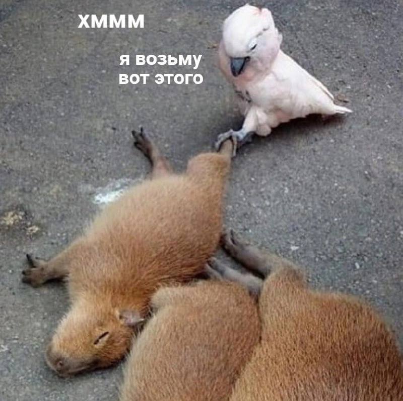 XMMM я возьму вот этого 4