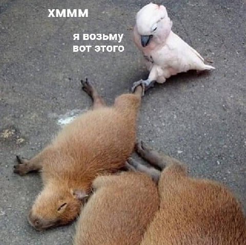 XMMM я возьму вот этого 4