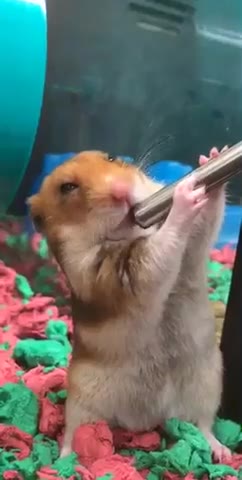 the