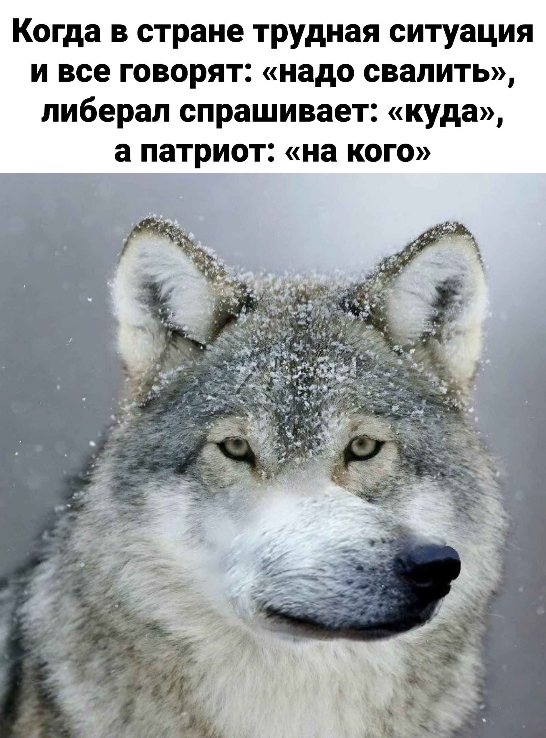 Когда в стране трудная ситуация и все говорят: «надо свалить», либерал спрашивает: «куда», а патриот: «на кого»