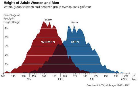 Height of Adult Women and Men Within-group variation and between-group overlap are significant Percentage of in Height Range 5% ААА 4% 3% 2% 1% 140 145 150 155 160 165 170 175 180 185 190 195 200 5 5.