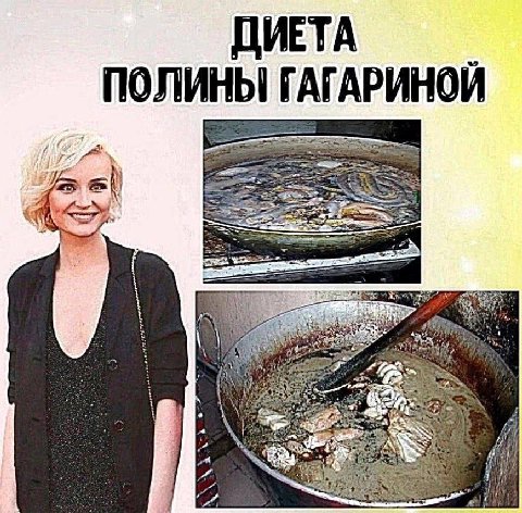 ДИЕТА ПОЛИНЫ ГАГАРИНОЙ nel #1 £4 с;