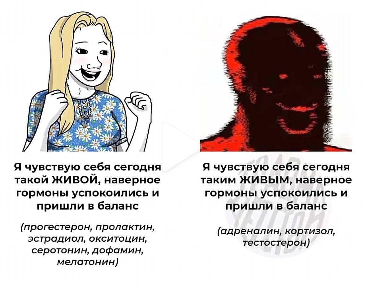 Я чувствую себя сегодня Я чувствую себя сегодня такой ЖИВОЙ, наверное таким ЖИВЫМ, наверное гормоны успокоились и гормоны успокоились и пришли в баланс пришли в баланс (прогестерон, пролактин, (адрена