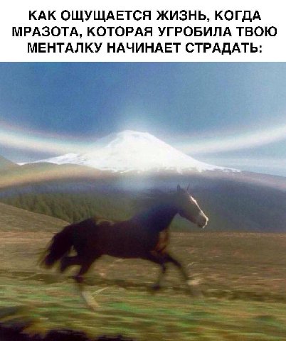 КАК ОЩУЩАЕТСЯ ЖИЗНЬ, КОГДА МРАЗОТА, КОТОРАЯ УГРОБИЛА ТВОЮ МЕНТАЛКУ НАЧИНАЕТ СТРАДАТЬ: