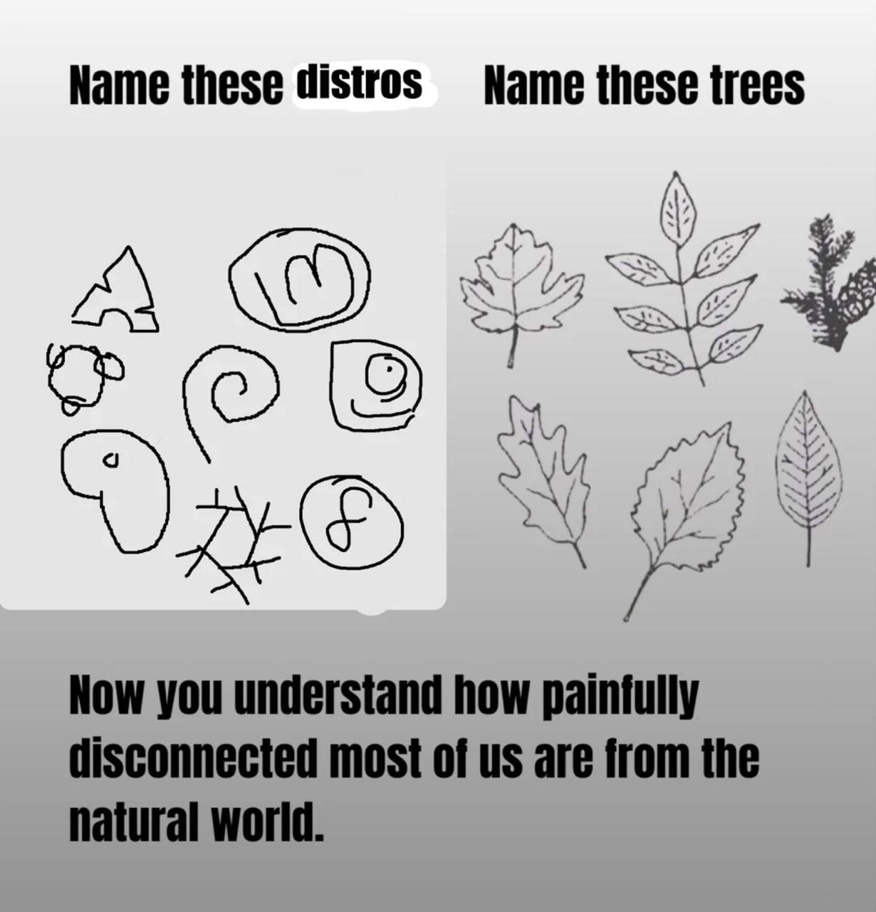 Name these distros Name these trees Now you understand how disconnected most of are from the natural world.