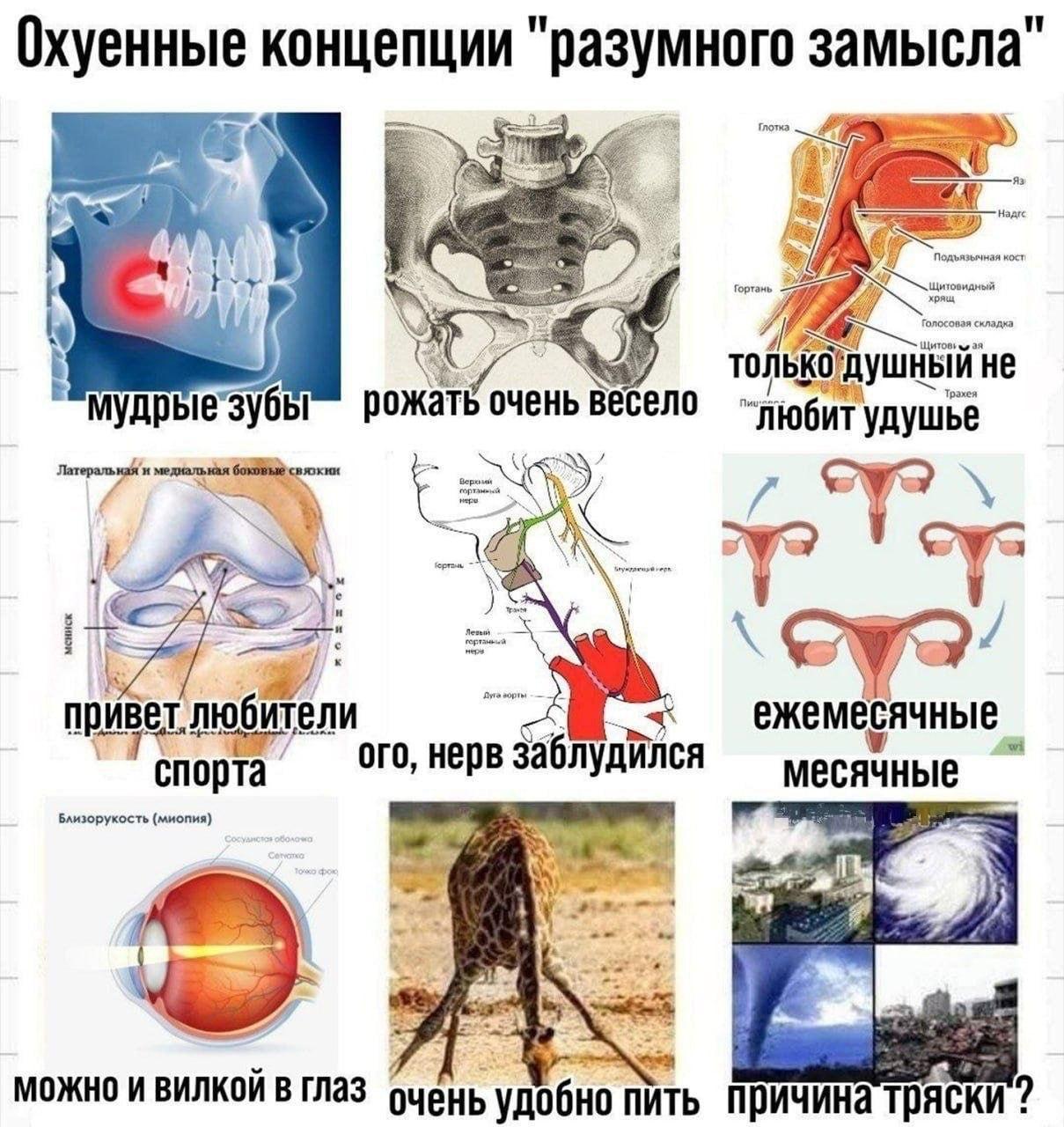 и Охуенные концепции разумного замысла i 24 толькодушный не рожать очень весело удушье привет любители ежемесячные 1 Я спорта ого, нерв заблудился месячные Близорукость (миопия) rad 4 a МОЖНО И ВИЛКОИ