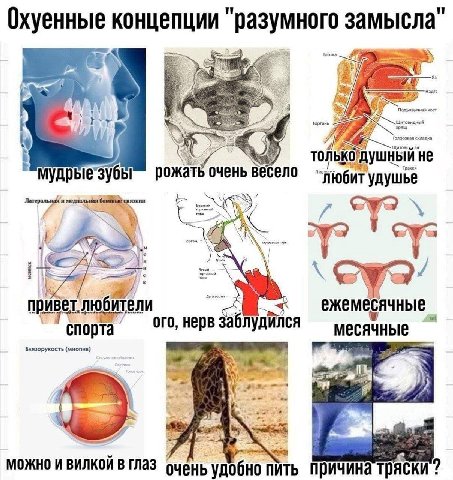 и Охуенные концепции разумного замысла i 24 толькодушный не рожать очень весело удушье привет любители ежемесячные 1 Я спорта ого, нерв заблудился месячные Близорукость (миопия) rad 4 a МОЖНО И ВИЛКОИ