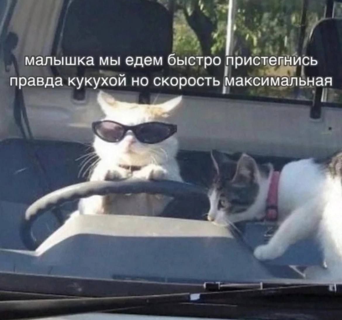 малышка мы едем быстро пристегнись правда кукухой но скорость максимальная