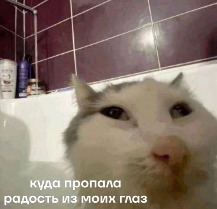 куда пропала радость из моих глаз