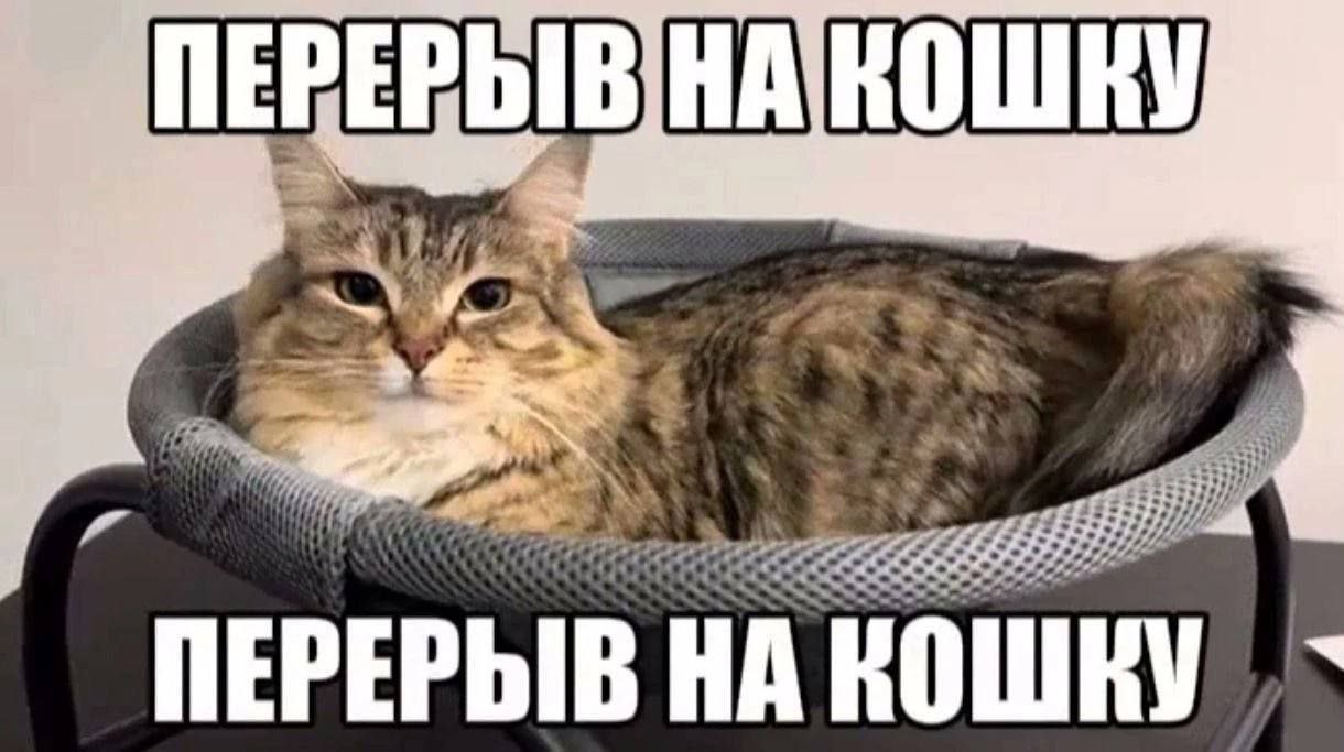 sie ПЕРЕРЫВ