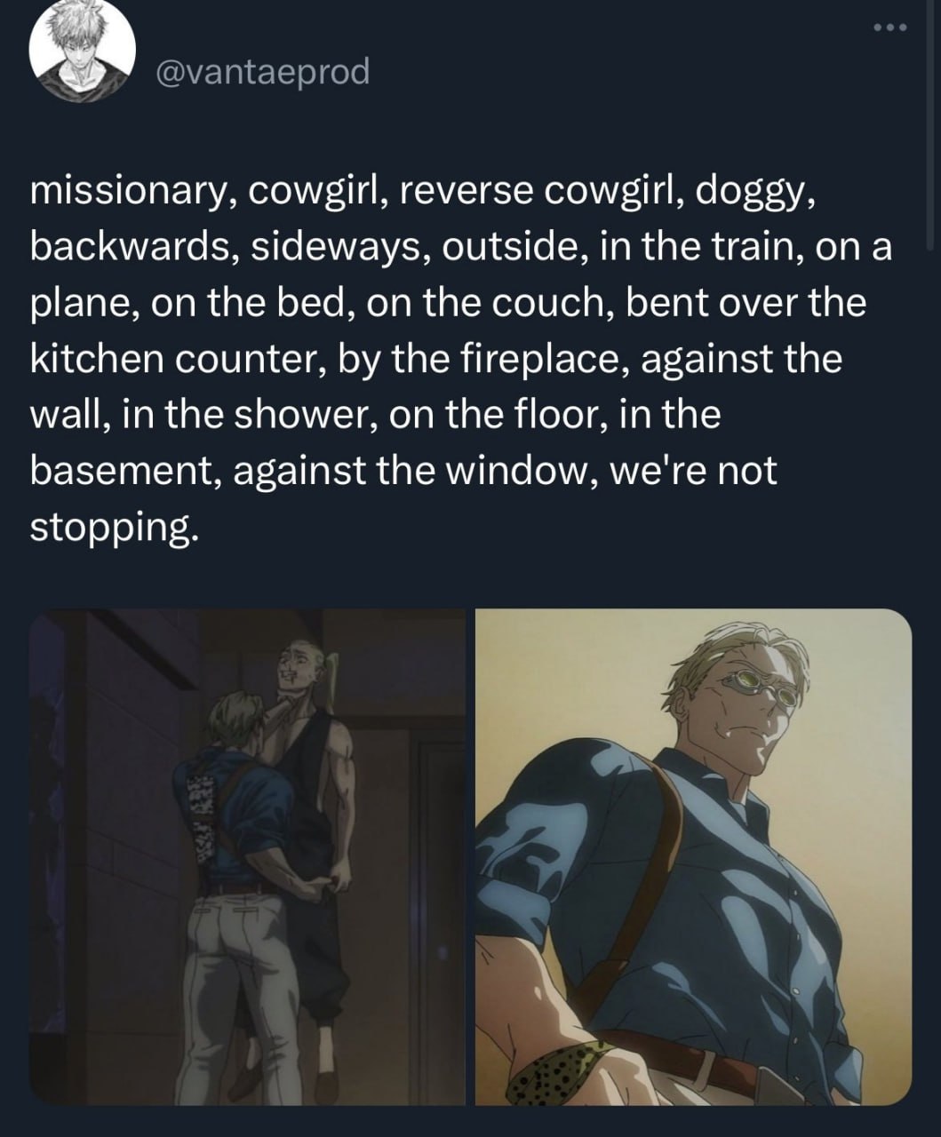 missionary, cowgirl, reverse cowgirl, doggy, backwards, sideways, outside, in the train, on a plane, on the bed, on the couch, bent over the kitchen counter, the fireplace, against the wall, in the sh