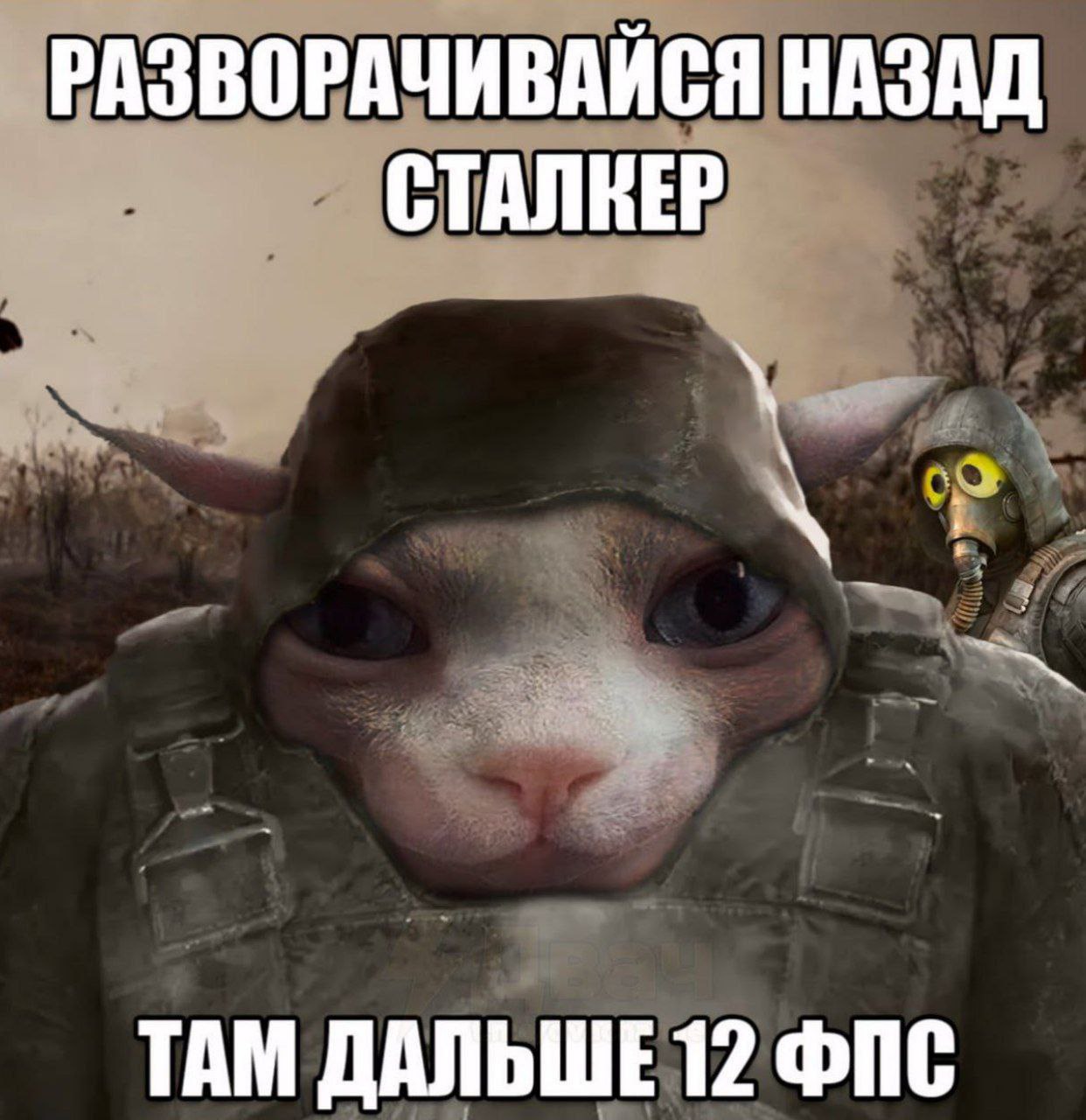 РАЗВОРАЧИВАЙСЯ НАЗАД СТАЛКЕР ТАМ ДАЛЬШЕ12 ФПС