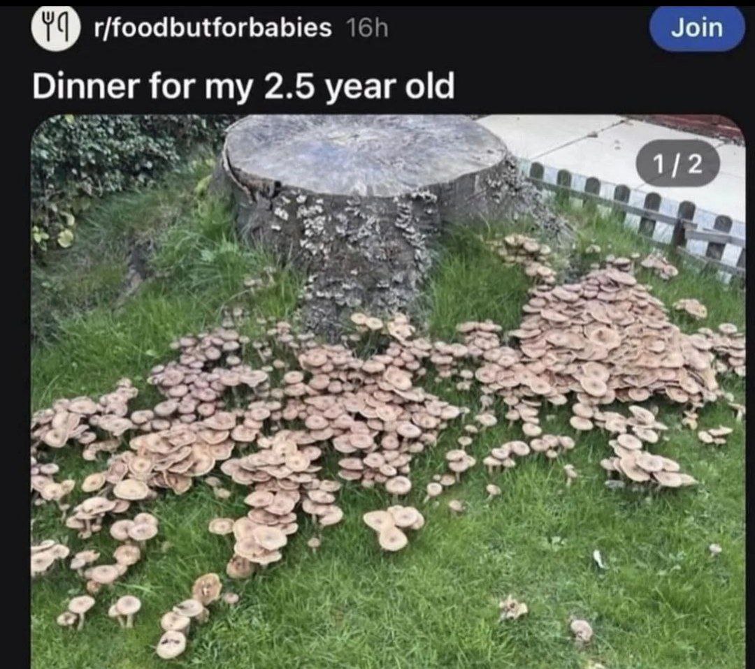 r/foodbutforbabies Join Dinner for my 2.5 year old 1/2 у