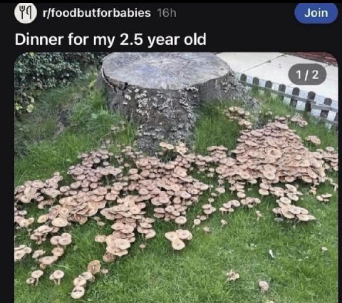r/foodbutforbabies Join Dinner for my 2.5 year old 1/2 у