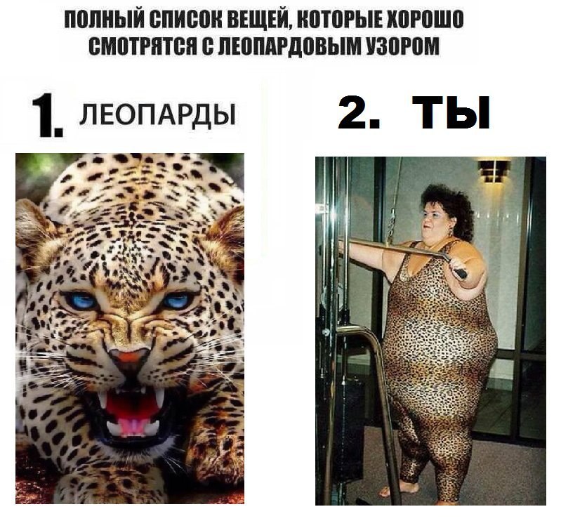ПОЛНЫЙ СПИСОК ВЕЩЕЙ, КОТОРЫЕ ХОРОШО СМОТРЯТСЯ С ЛЕОПАРДОВЫМ УЗОРОМ 2. ТЫ ЛЕОПАРДЫ 2 7