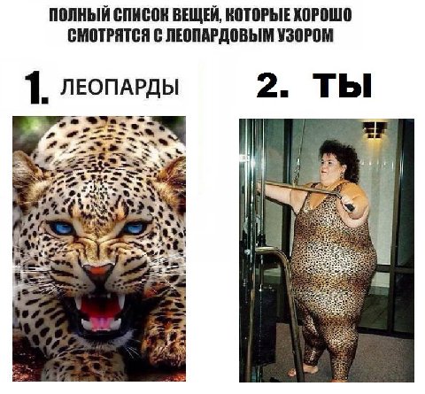 ПОЛНЫЙ СПИСОК ВЕЩЕЙ, КОТОРЫЕ ХОРОШО СМОТРЯТСЯ С ЛЕОПАРДОВЫМ УЗОРОМ 2. ТЫ ЛЕОПАРДЫ 2 7