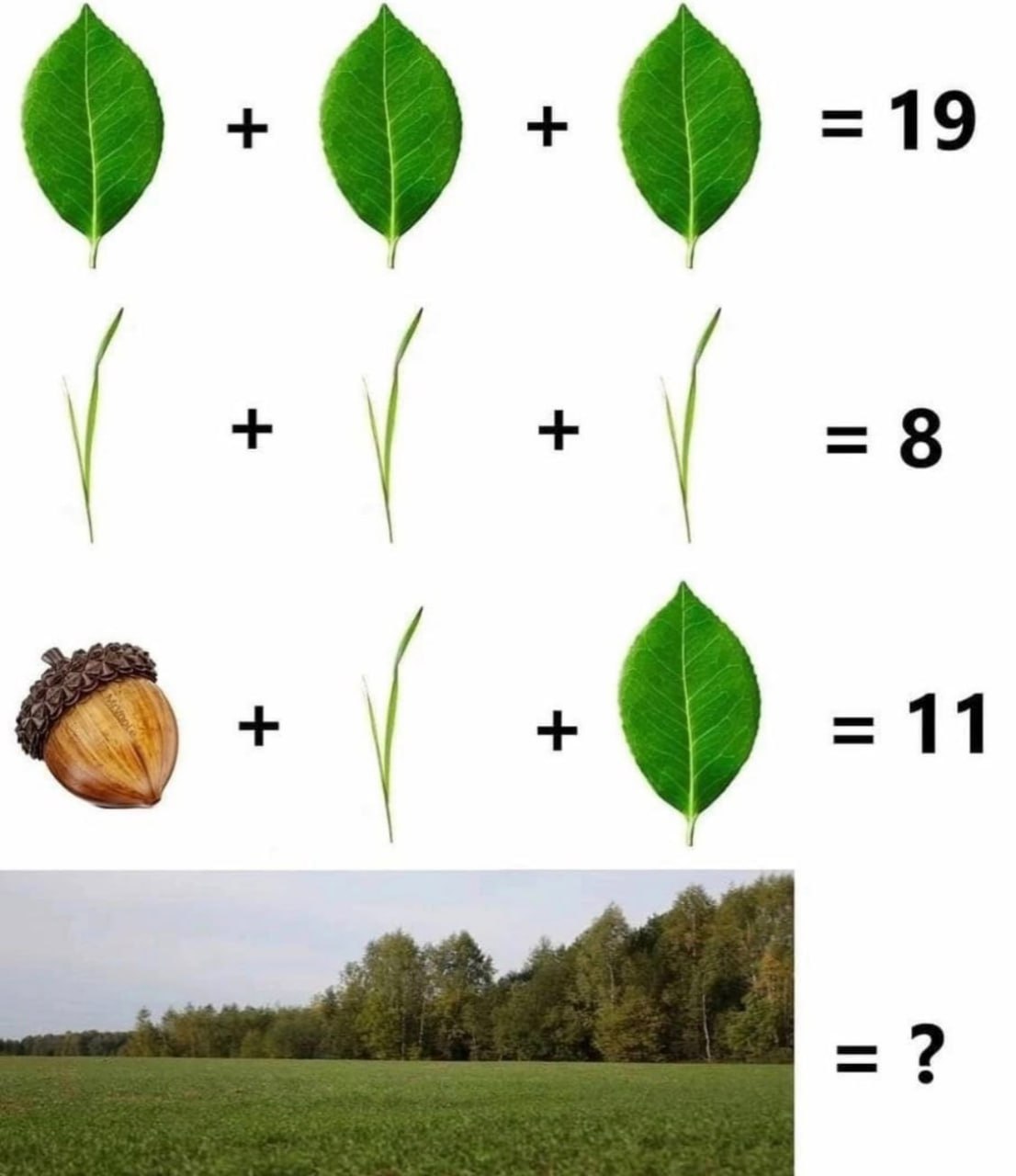 11