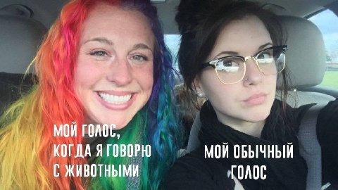 3 МОИ ОБЫЧНЫЙ КОГДА ЯГОВОРЮ ЖИВОТНЫМИ голос