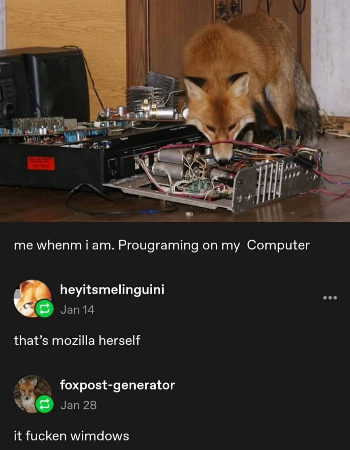 if, 4 whenm iam. Prougraming on my Computer heyitsmelinguini that’s mozilla herself foxpost-generator it fucken wimdows