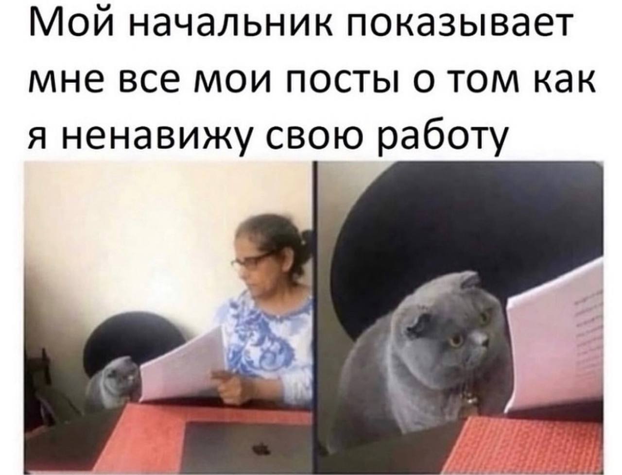 Мой начальник показывает мне все мои посты о том как я ненавижу свою работу к’