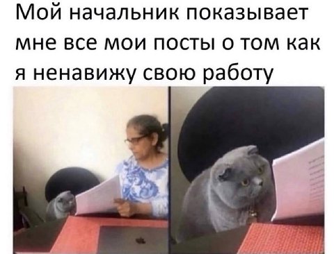 Мой начальник показывает мне все мои посты о том как я ненавижу свою работу к’