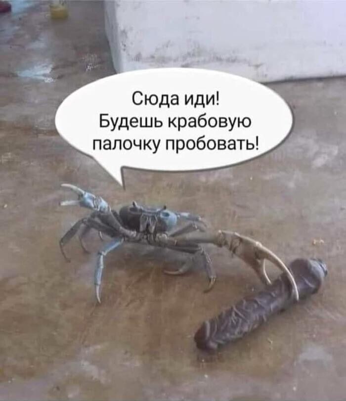 Сюда иди! Будешь крабовую палочку пробовать!