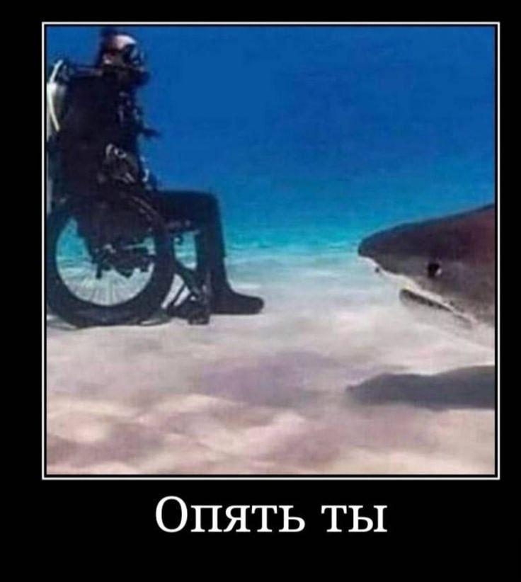 Опять ты