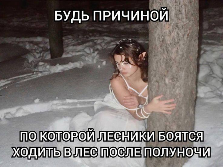 БУДЬ ПРИЧИНОИ ПО КОТОРОЙ ЛЕСНИКИ БОЯТСЯ ходить; ЛЕСПОСЛЕ