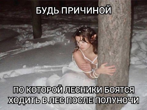БУДЬ ПРИЧИНОИ ПО КОТОРОЙ ЛЕСНИКИ БОЯТСЯ ходить; ЛЕСПОСЛЕ