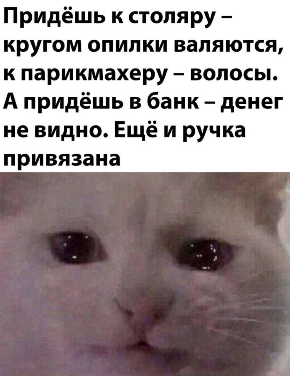 Придёшь к столяру кругом опилки валяются, к парикмахеру волосы. А придёшь в банк денег не видно. ручка привязана