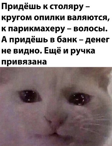 Придёшь к столяру кругом опилки валяются, к парикмахеру волосы. А придёшь в банк денег не видно. ручка привязана