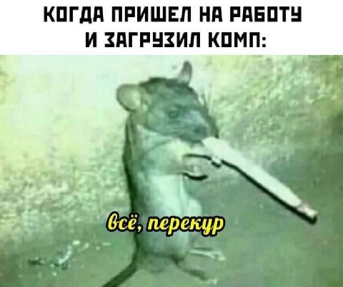 КОГДА ПРИШЕЛ НА РАБОТУ И ЗАГРУЗИЛ КОМП: в. 4 перекур