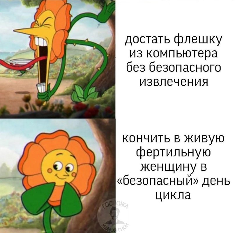 достать флешку из компьютера без безопасного извлечения кончить в живую фертильную женщину в «безопасный» день цикла